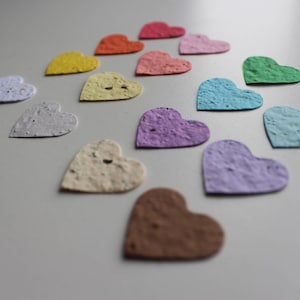 100 Seed Paper Confetti Hearts Wildflower seeds image 8