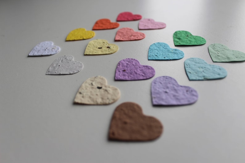 100 Seed Paper Confetti Hearts Wildflower seeds image 8