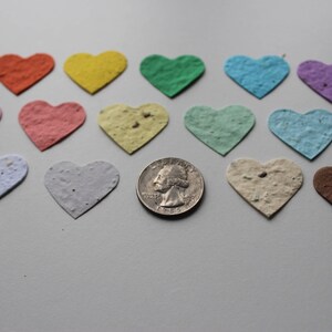 100 Seed Paper Confetti Hearts Wildflower seeds image 2