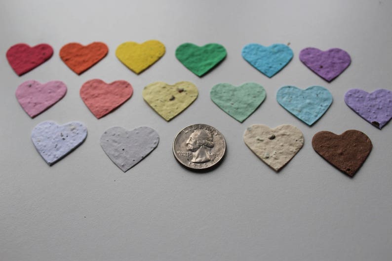 100 Seed Paper Confetti Hearts Wildflower seeds image 2