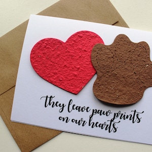 They leave paw prints on our hearts 16 seed paper colors available pet sympathy, rainbow bridge, loss of a pet, sympathy card image 1