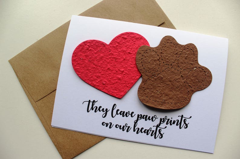 They leave paw prints on our hearts 16 seed paper colors available pet sympathy, rainbow bridge, loss of a pet, sympathy card image 1