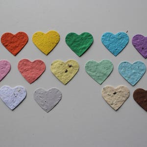 100 Seed Paper Confetti Hearts Wildflower seeds image 6