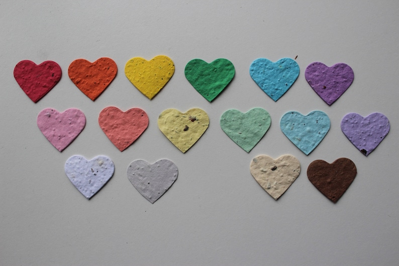 100 Seed Paper Confetti Hearts Wildflower seeds image 6