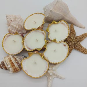 May include: A collection of seashell candles with gold trim, surrounded by various seashells and starfish. The candles are white with a single wick, and the shells have a natural, textured appearance. The arrangement evokes a coastal theme.