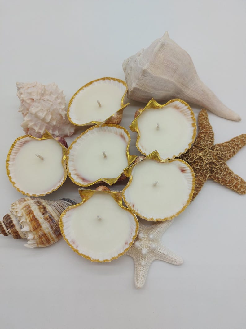 May include: A collection of seashell candles with gold trim, surrounded by various seashells and starfish. The candles are white with a single wick, and the shells have a natural, textured appearance. The arrangement evokes a coastal theme.