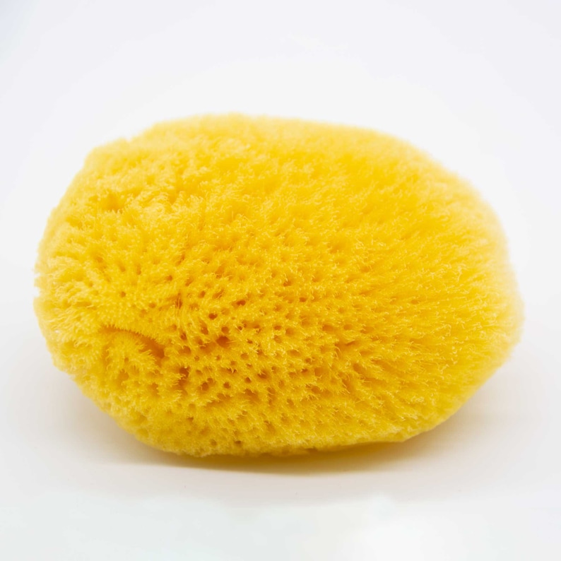 May include: A natural, bright yellow sea sponge with a porous texture. The sponge is oval-shaped and appears soft, ideal for gentle cleansing. The background is plain white, highlighting the sponge's color and texture.