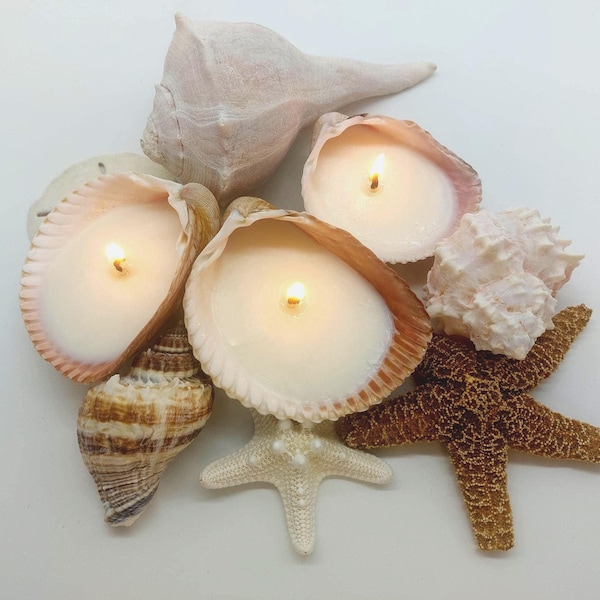 Seashell Soy Candles-Beach Wedding Favors-Ocean Shell Candles-Teacher Gift-Beach Decor