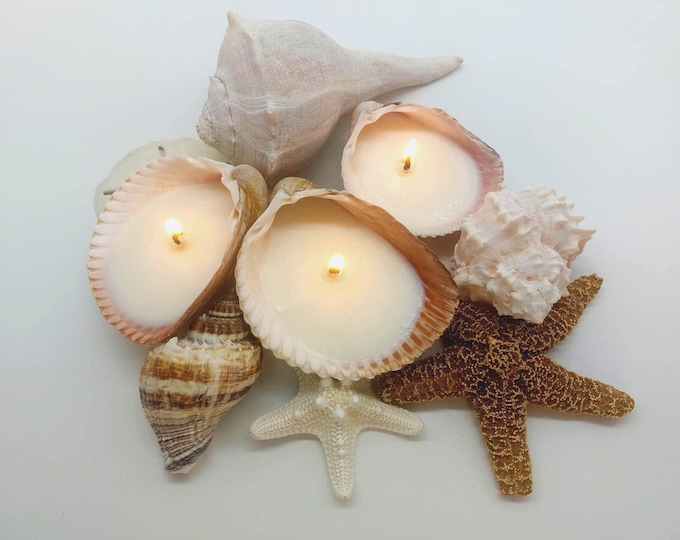 Seashell Soy Candles-Beach Wedding Favors-Ocean Shell Candles-Teacher Gift-Beach Decor