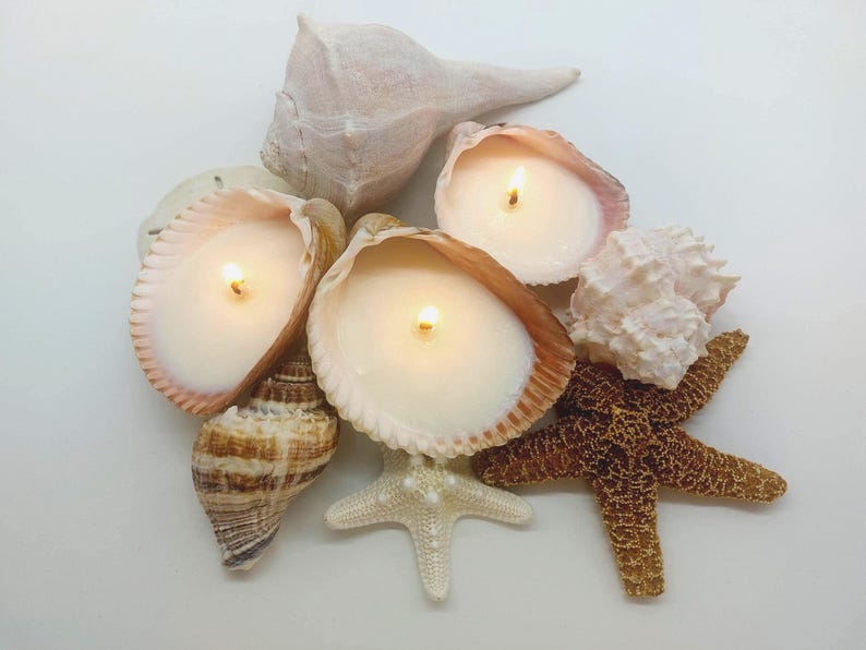 May include: A collection of lit candles nestled in seashells, starfish, and other sea-themed decor. The candles are white, and the seashells are various shades of beige, brown, and white. The starfish are brown and white. The overall theme is coastal and beachy.