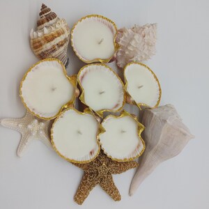 May include: A collection of seashell candles with gold trim, arranged with starfish and other seashells. The candles have a creamy white wax and are set in scallop shells. The arrangement evokes a coastal theme.
