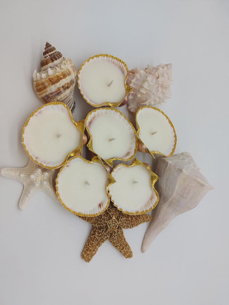 May include: A collection of seashell candles with gold trim, arranged with starfish and other seashells. The candles have a creamy white wax and are set in scallop shells. The arrangement evokes a coastal theme.