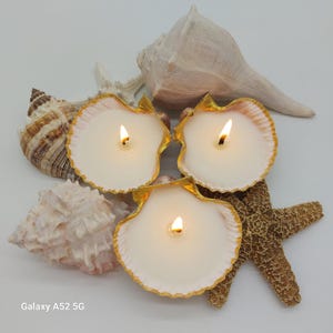 May include: Three lit seashell candles with gold trim, surrounded by seashells and a starfish. The candles have a creamy white wax and are set against a white background, creating a coastal theme.