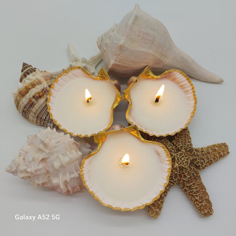 May include: Three lit seashell candles with gold trim, surrounded by seashells and a starfish. The candles have a creamy white wax and are set against a white background, creating a coastal theme.