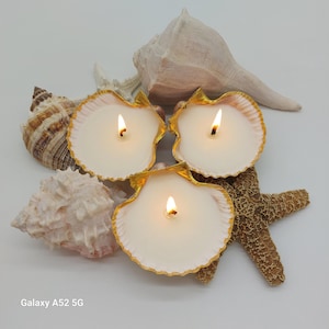 May include: Three lit seashell candles with gold trim, surrounded by seashells and a starfish. The candles have a white wax and are set against a white background, creating a coastal theme.
