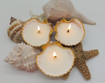 Seashell Soy Candles-Beach Wedding Favors-Ocean Shell Candles-Teacher Gift-Baby Shower Favors