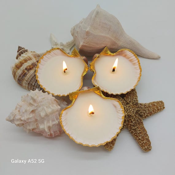 Handmade Seashell Soy Candles-Beach Candles-Ocean Shell Candles-Beach Décor