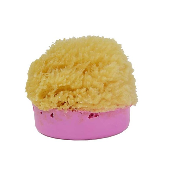 soap sponge