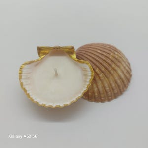 May include: A seashell candle with a gold-painted rim and a white wax interior. The candle is in an open shell, with a second shell next to it. The shells are brown and beige.