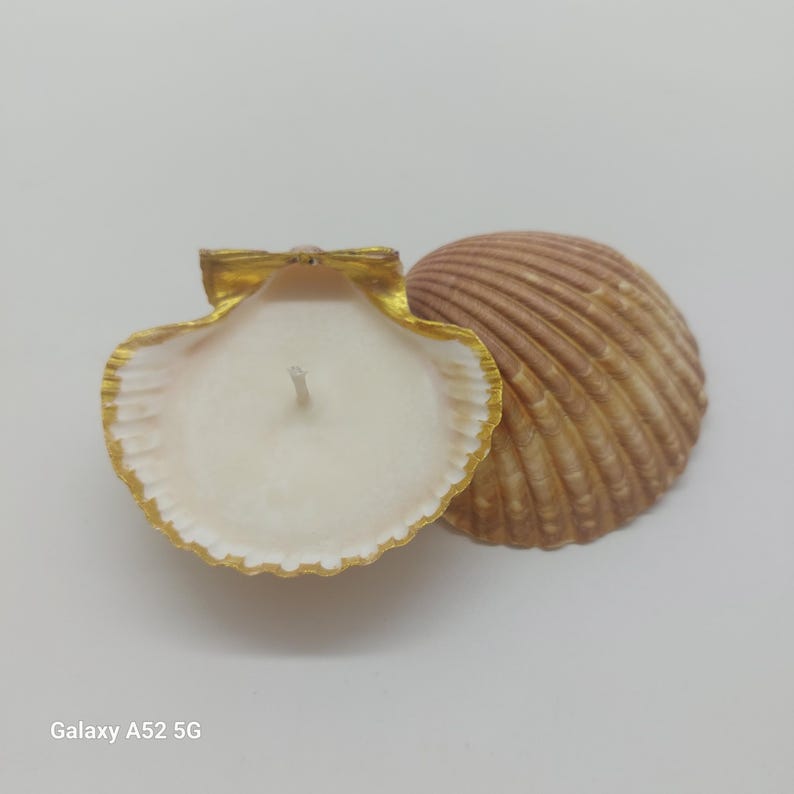 May include: A seashell candle with a gold-painted rim and a white wax interior. The candle is in an open shell, with a second shell next to it. The shells are brown and beige.