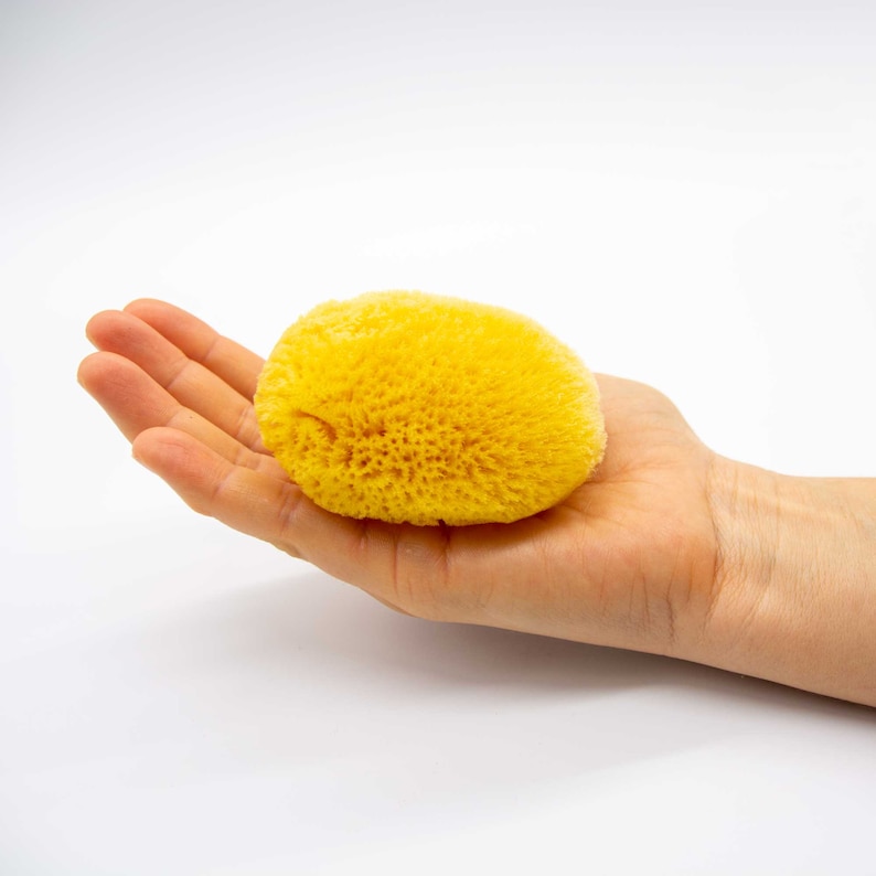 May include: A natural, yellow sea sponge with a porous texture. The sponge is held in an open hand against a white background. The sponge is a bright, sunny yellow color.