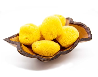 Sea Sponge-Silk Facial Sponge-Natural Sponge-Soap Making Embeds-Sponges-Bath Accessories-Soap making Supplies-Craft Supplies-Ultra Soft