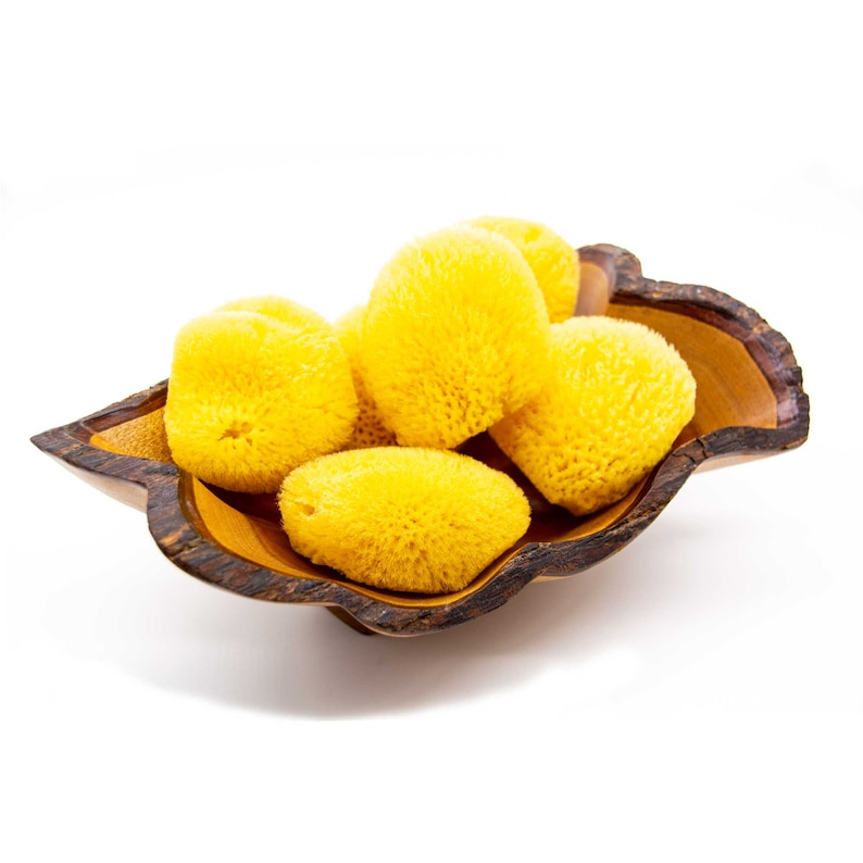 May include: A wooden leaf-shaped bowl filled with several bright yellow natural sea sponges. The bowl has a dark brown, textured rim and a lighter brown interior. The sponges are clustered together, creating a visually appealing arrangement.