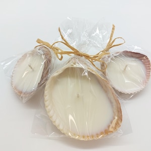 May include: Three seashell candles, each filled with white wax and a single wick. The candles are packaged in clear cellophane and tied with raffia. The seashells have natural beige and pink tones, creating a coastal theme.