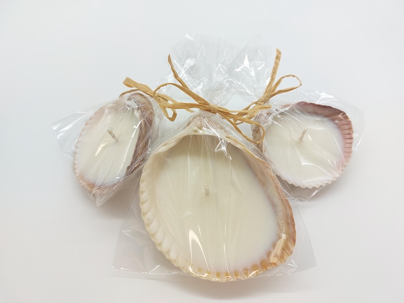 May include: Three seashell candles, each filled with white wax and a single wick. The candles are packaged in clear cellophane and tied with raffia. The seashells have natural beige and pink tones, creating a coastal theme.