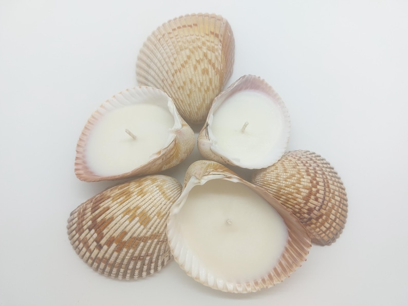 May include: A cluster of six seashell candles. The shells are beige and brown, with a ribbed texture. Each shell holds a creamy white candle with a single wick. The arrangement is on a white background.