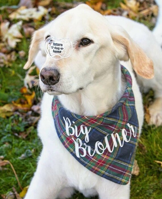 big brother dog handkerchief
