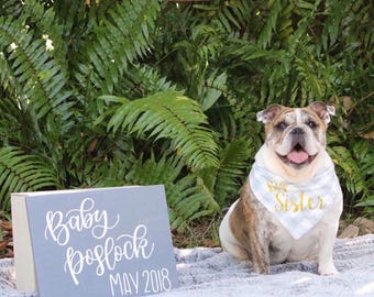 Personalized flannel dog bandana