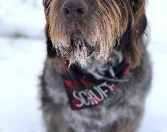 Customized Plaid Dog Bandana!