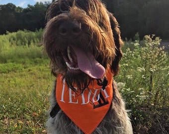 customized DUCK hunting dog bandana!