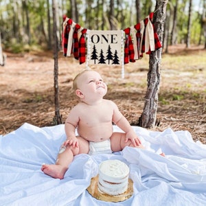 Woodland High Chair Banner for 1st Birthday Photo Prop Wild One Party Ideas Buffalo Plaid Highchair Garland Lumberjack| Backdrop| Boy| Girl