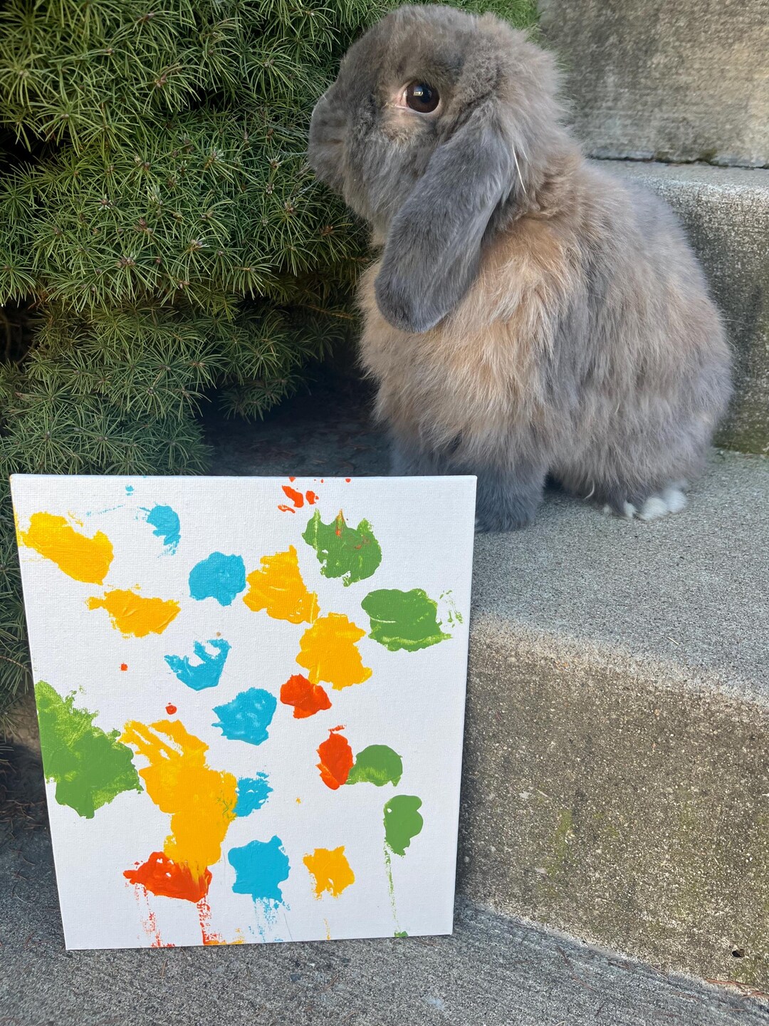 Pet Art by Bunny Rabbit Acrylic Painting on Canvas 8x10” - Etsy