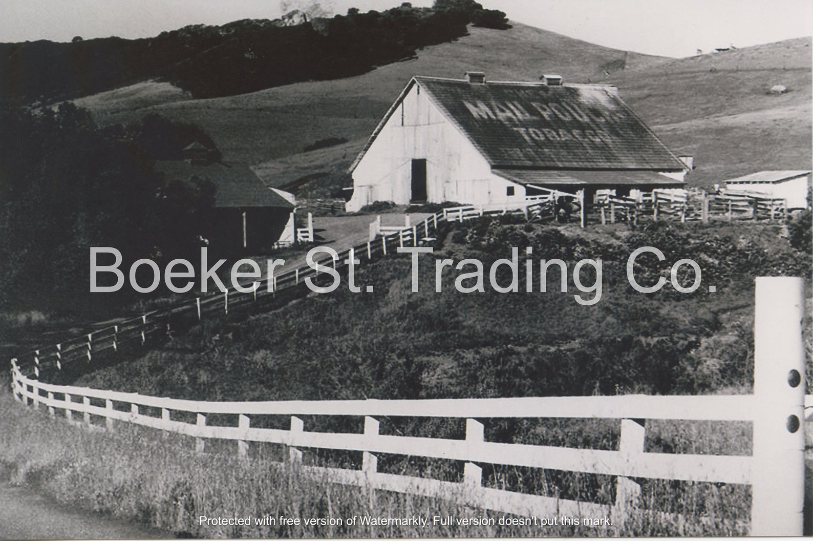 Vintage Photo of Tobacco Barn San Luis Obispo California Etsy