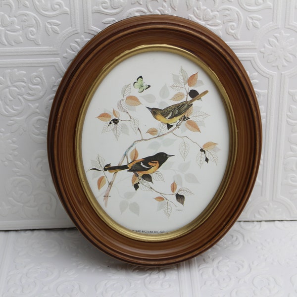Vintage Benard Picture Co. bird picture Home decor Retro Garden decor Cottage decor Cottage core Granny chic Wall decor Butterflies