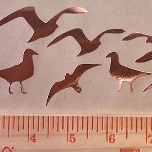 May include: A sheet of copper-coloured vinyl decals featuring a variety of seagull silhouettes. The decals are perfect for adding a nautical touch to any project.