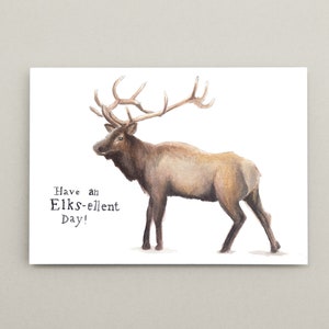 Carte à imprimé wapiti - Passez une journée inoubliable !