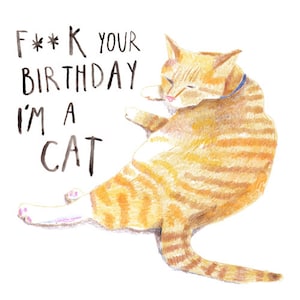 Rude / Funny Cat Birthday Card - F***K Your Birthday, I'm A Cat