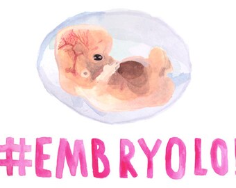 Funny New Baby Card - Embryolo!