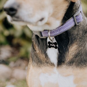 Dog Tags Custom Laser Engraved Pet ID Tag for Cats and Dogs. Custom Laser Engraved Gift. Bone Pet Tag.