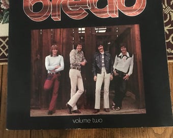 Bread: the Best of Bread. Vinyl LP - Etsy