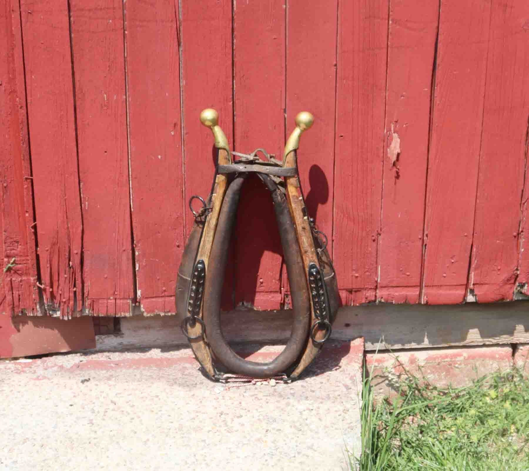 Horse Hames for sale Only 4 left at 60