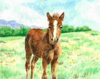Foal in a Meadow
