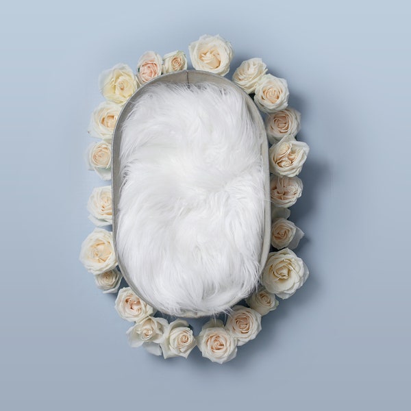 Newborn digital Prop, Newborn digital background roses, Silver bucket with Roses and fur