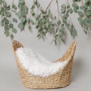 Digital Eucalyptus Basket for Newborn Photography
