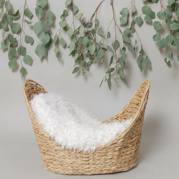 Digital Eucalyptus Basket for Newborn Photography