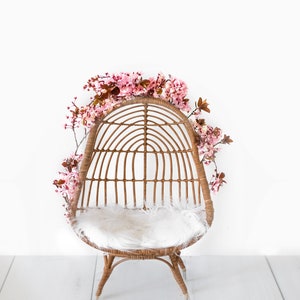 Newborn egg chair, with cherry blossoms, digital background, digital file, papasan chair, rattan, bamboo chair